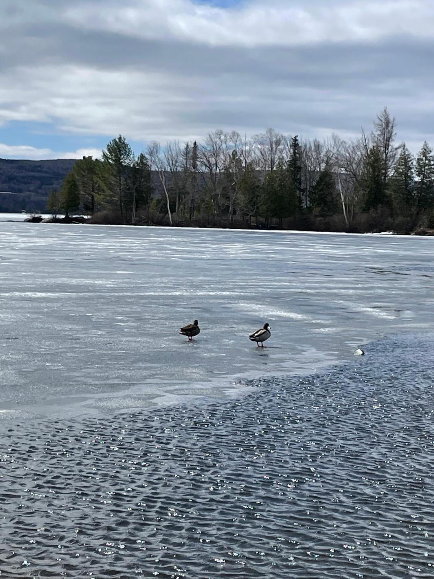 Rangeley Town & Lake 외부 사진